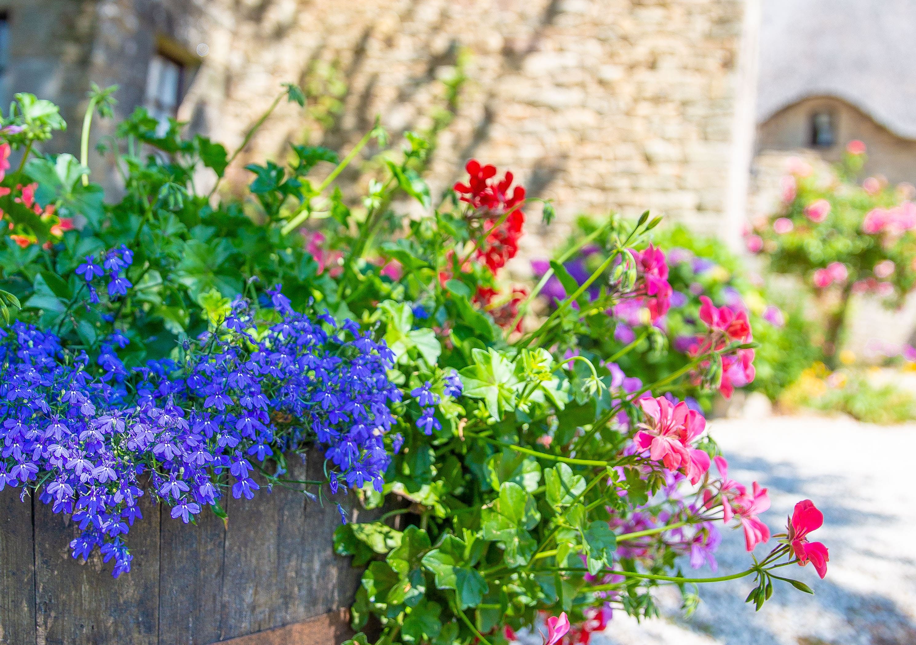 Our beautiful gardens at La Garenne