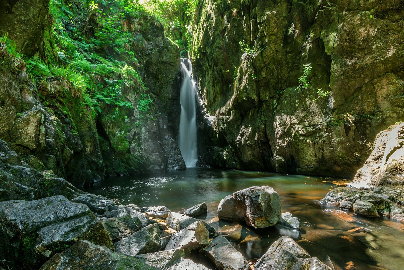 Stanley Ghyll 60ft waterfall is a stunning, shorter walk from the cottages